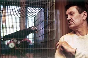 Виктор Дольник