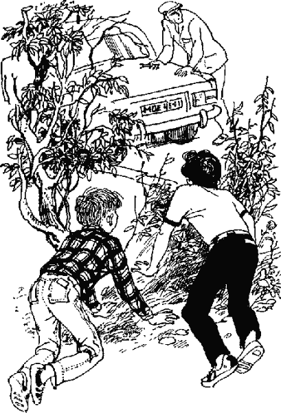 Иллюстрация к книге — Рыжий, красный и человек опасный [Red-and-dangerous-man-6.png]