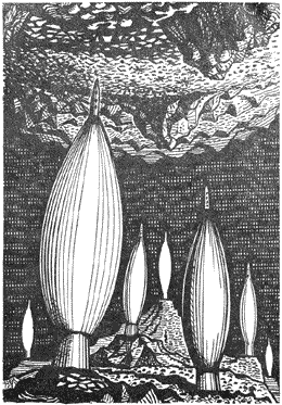 Иллюстрация к книге — Путь марсиан [The-way-Martian-02.png]