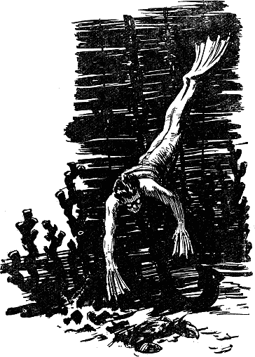 Иллюстрация к книге — Человек-амфибия [Amphibian-Man-009.png]