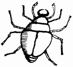 Иллюстрация к книге — Завтрак для чемпионов, или Прощай, черный понедельник [Breakfast-of-Champions-054.png]