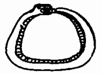 Иллюстрация к книге — Завтрак для чемпионов, или Прощай, черный понедельник [Breakfast-of-Champions-079.png]