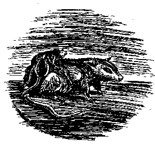 Иллюстрация к книге — Запад Эдема [West-of-Eden-01.png]