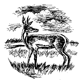 Иллюстрация к книге — Запад Эдема [West-of-Eden-04.png]