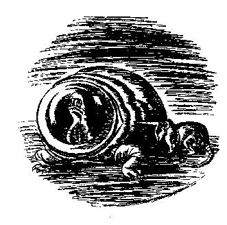 Иллюстрация к книге — Запад Эдема [West-of-Eden-17.png]