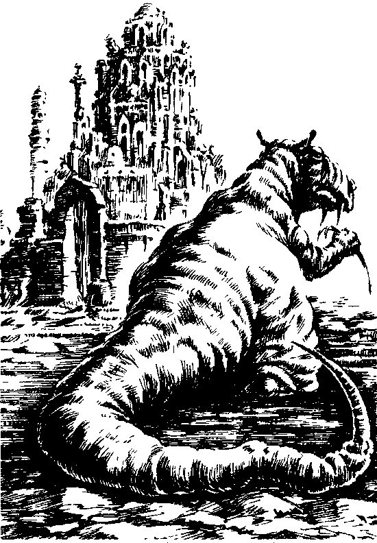 Иллюстрация к книге — Одиссея Звездного Волка [image003.jpg]