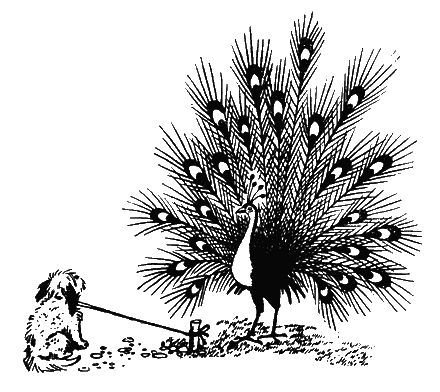 Иллюстрация к книге — Кыш и я в Крыму [Shoo-and-I-in-the-Crimea-05.png]