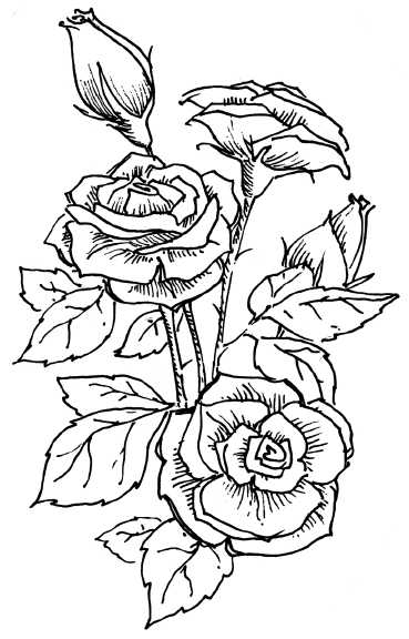 Иллюстрация к книге — 48 советов по обретению любви [48-tips-for-gaining-love-03.jpg]