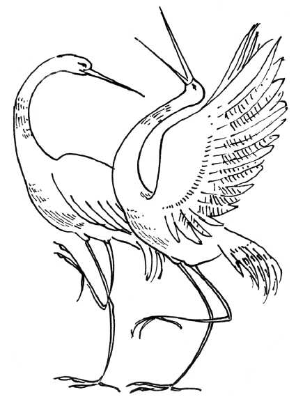 Иллюстрация к книге — 48 советов по обретению любви [48-tips-for-gaining-love-04.jpg]