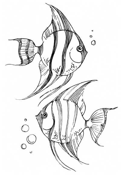 Иллюстрация к книге — 48 советов по обретению любви [48-tips-for-gaining-love-10.jpg]