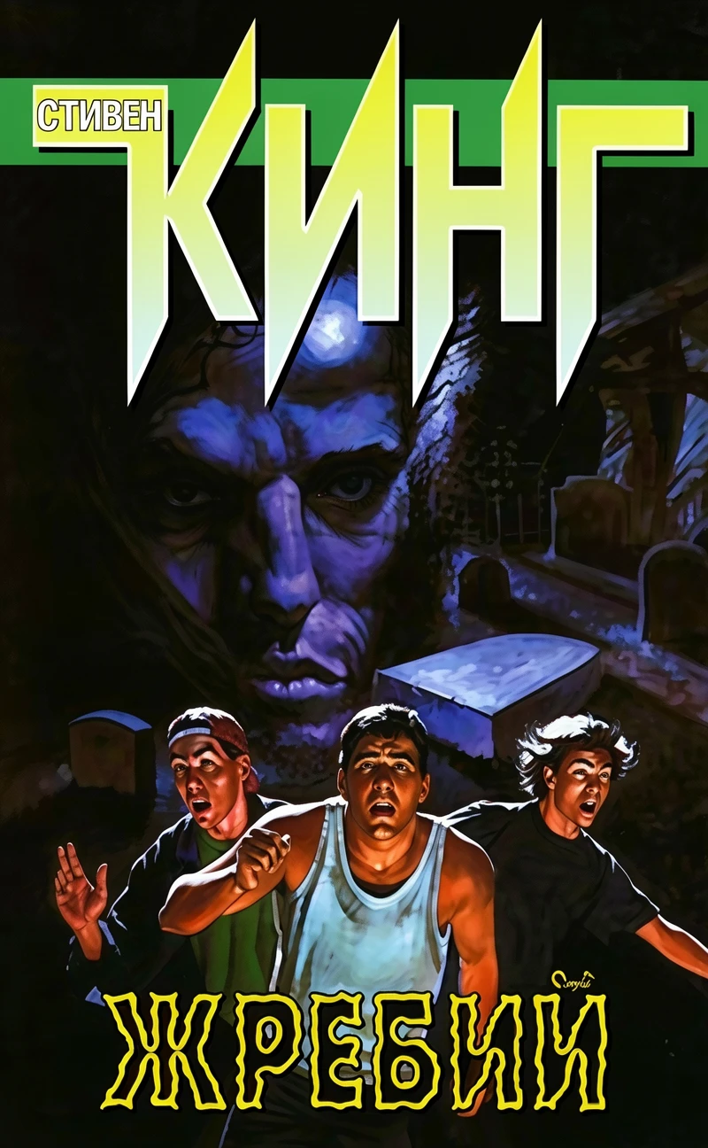 Книга Салимов удел [= Жребий; Судьба Салема; Город зла; Судьба Иерусалима ]