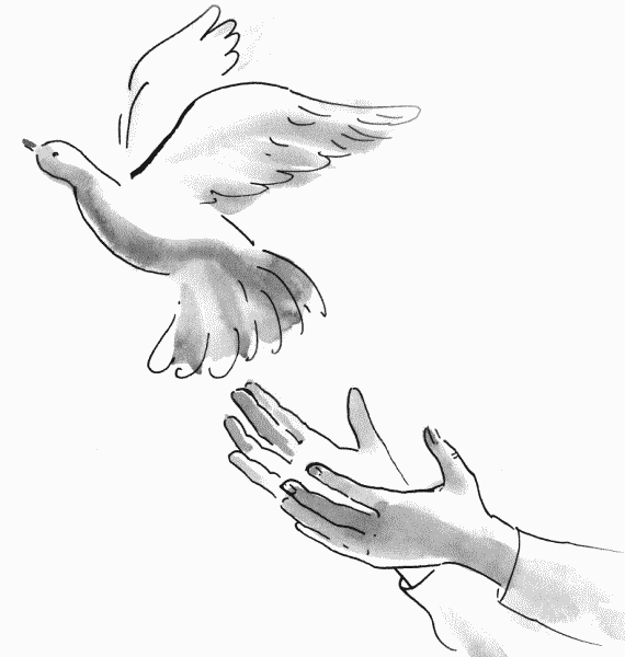 Иллюстрация к книге — Любовь - чудесная страна! [Love-Beautiful-Country-06.png]