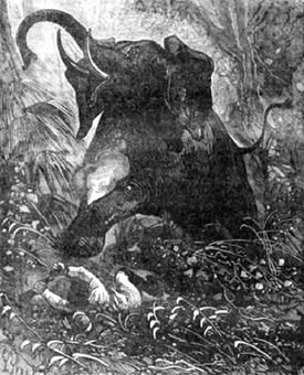 Иллюстрация к книге — Похитители бриллиантов [The-kidnappers-of-diamonds-05.jpg]