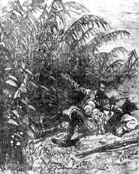 Иллюстрация к книге — Похитители бриллиантов [The-kidnappers-of-diamonds-11.jpg]