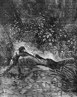 Иллюстрация к книге — Похитители бриллиантов [The-kidnappers-of-diamonds-12.jpg]