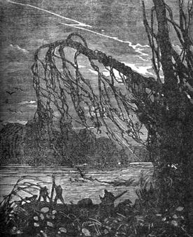 Иллюстрация к книге — Похитители бриллиантов [The-kidnappers-of-diamonds-16.jpg]