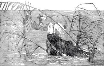 Иллюстрация к книге — Похитители бриллиантов [The-kidnappers-of-diamonds-18.jpg]