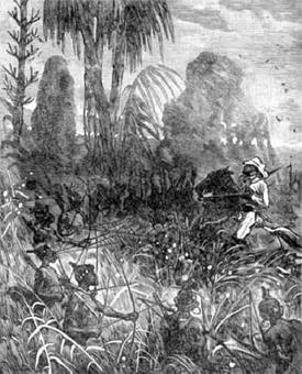 Иллюстрация к книге — Похитители бриллиантов [The-kidnappers-of-diamonds-28.jpg]