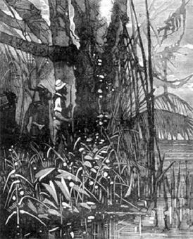 Иллюстрация к книге — Похитители бриллиантов [The-kidnappers-of-diamonds-48.jpg]