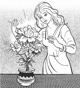 Иллюстрация к книге — Богатство в моих руках. Руководство по привлечению денег [Guidelines-on-the-money-07.jpg]