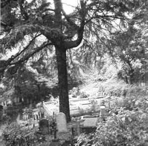 Иллюстрация к книге — Кладбищенские истории [Graveyard-stories-32.jpg]