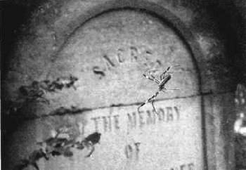 Иллюстрация к книге — Кладбищенские истории [Graveyard-stories-36.jpg]