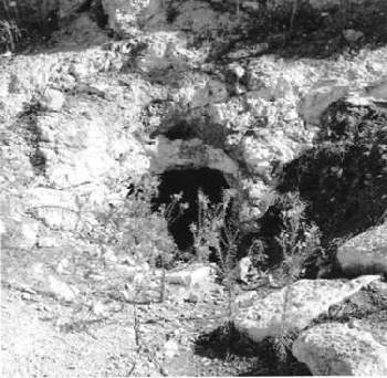 Иллюстрация к книге — Кладбищенские истории [Graveyard-stories-58.jpg]