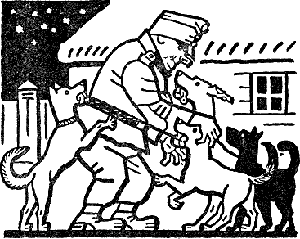 Иллюстрация к книге — Похождения бравого солдата Швейка [Good-Soldier-Svejk-44.png]