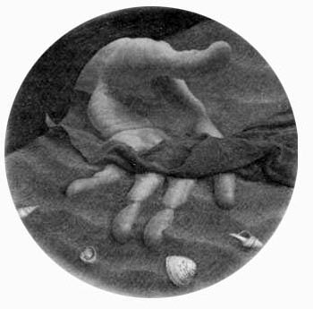 Иллюстрация к книге — Заир [Zaire-03.jpg]