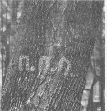 Иллюстрация к книге — Ф.М. Том 2 [FM-Volume-2-02.jpg]