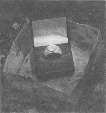 Иллюстрация к книге — Ф.М. Том 2 [FM-Volume-2-03.jpg]