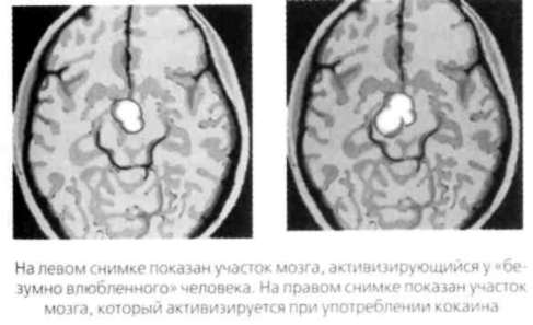 Иллюстрация к книге — Почему мужчины хотят секса, а женщины любви [Why-do-men-want-sex-women-love-03.jpg]