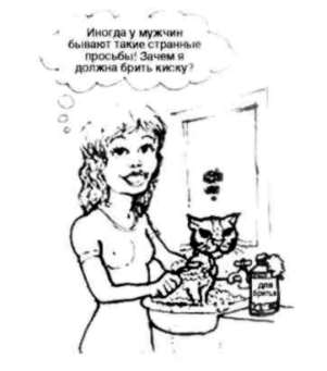 Иллюстрация к книге — Почему мужчины хотят секса, а женщины любви [Why-do-men-want-sex-women-love-29.jpg]