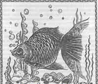 Иллюстрация к книге — Талисманы любви и удачи [Talismans-of-love-and-luck-45.jpg]