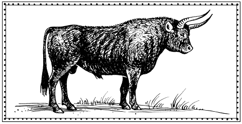 Иллюстрация к книге — Мы - славяне! [We-the-Slavs-012.png]