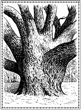 Иллюстрация к книге — Мы - славяне! [We-the-Slavs-052.png]