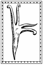 Иллюстрация к книге — Мы - славяне! [We-the-Slavs-146.png]