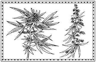 Иллюстрация к книге — Мы - славяне! [We-the-Slavs-156.png]