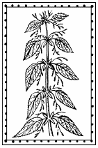 Иллюстрация к книге — Мы - славяне! [We-the-Slavs-158.png]