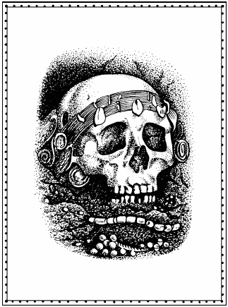 Иллюстрация к книге — Мы - славяне! [We-the-Slavs-180.png]