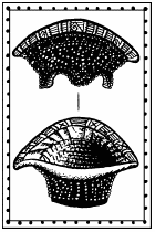 Иллюстрация к книге — Мы - славяне! [We-the-Slavs-213.png]