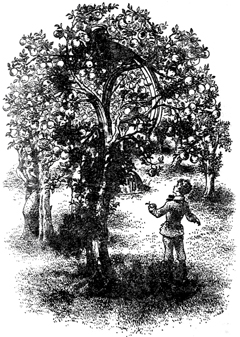 Иллюстрация к книге — Племянник Чародея [Magicians-nephew-29.jpg]