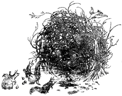 Иллюстрация к книге — Племянник Чародея [Magicians-nephew-30.jpg]