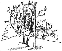 Иллюстрация к книге — Принц Каспиан [Prince-Caspian-28.jpg]