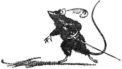 Иллюстрация к книге — Покоритель зари, или плавание на край света [Conqueror-of-the-dawn-04.jpg]