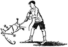 Иллюстрация к книге — Покоритель зари, или плавание на край света [Conqueror-of-the-dawn-08.jpg]