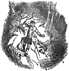 Иллюстрация к книге — Покоритель зари, или плавание на край света [Conqueror-of-the-dawn-17.jpg]