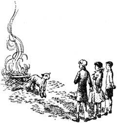 Иллюстрация к книге — Покоритель зари, или плавание на край света [Conqueror-of-the-dawn-33.jpg]