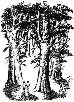 Иллюстрация к книге — Серебряное кресло [Silver-Chair-03.jpg]