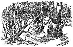 Иллюстрация к книге — Последняя битва [The-Last-Stand-19.jpg]